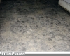 Stamped Concrete Driveway