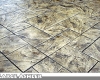 Stamped Concrete Driveway