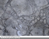 Stamped Concrete Driveway