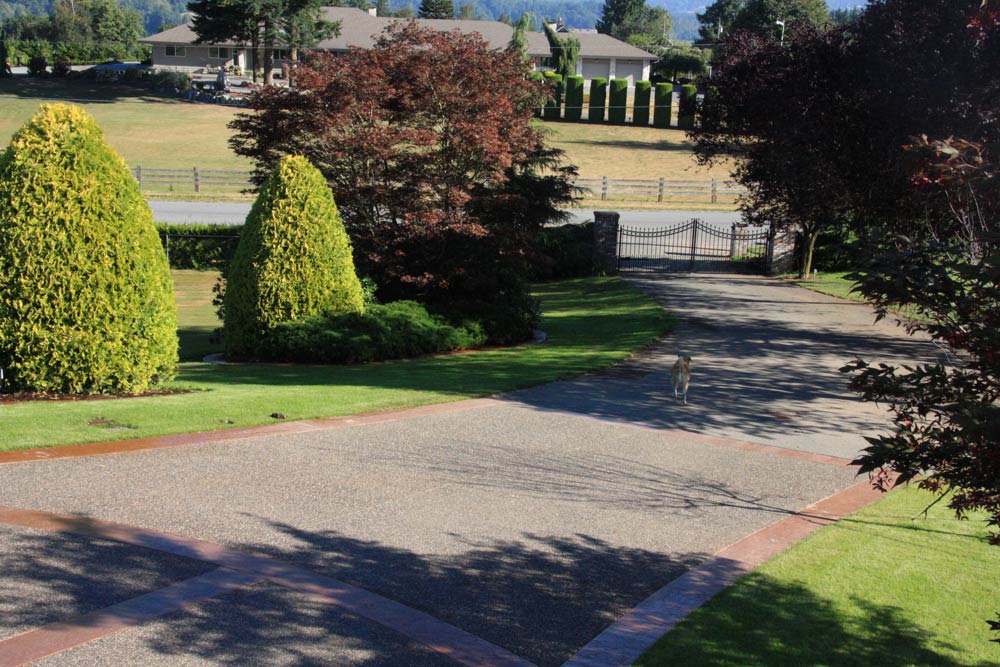 Stamped Concrete Driveway