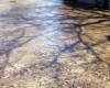 Stamped Concrete Driveway